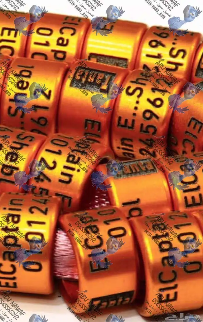 حجول لجميع انواع الطيور حفر عميق 24