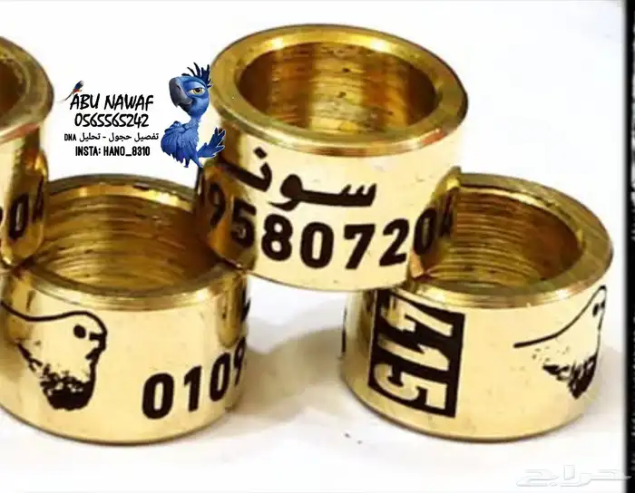 حجول لجميع انواع الطيور حفر عميق 33