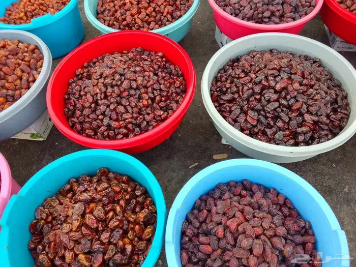 تمور حائل الفاخره 6