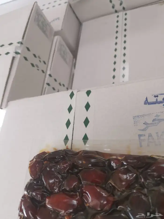 تمور رخيصة الثمن نبتة ومتنوعه 1