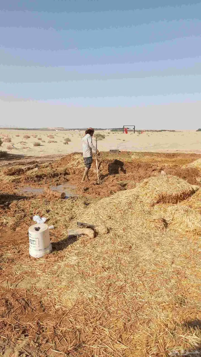 مقاول اعمال التراث وترميمات اعمال التراث والسقوف المستعار با 0