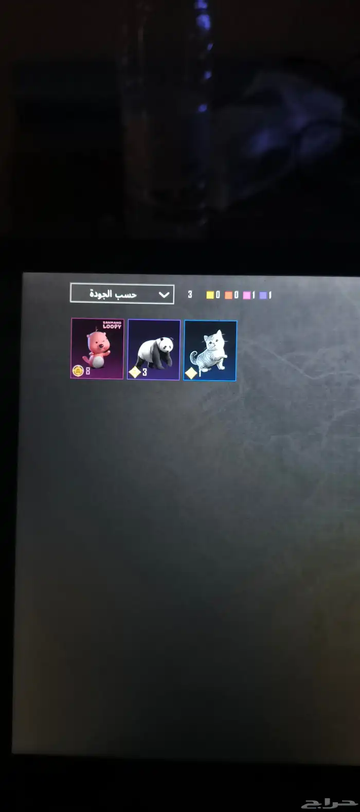 حساب ببجي 22