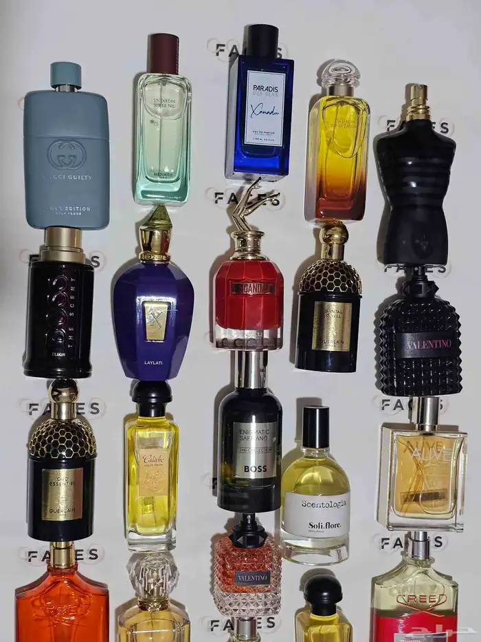 عطور تستر اصلي ومضمونه 3