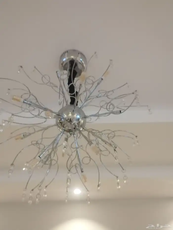 نحفة للبيع 80 ريال 1