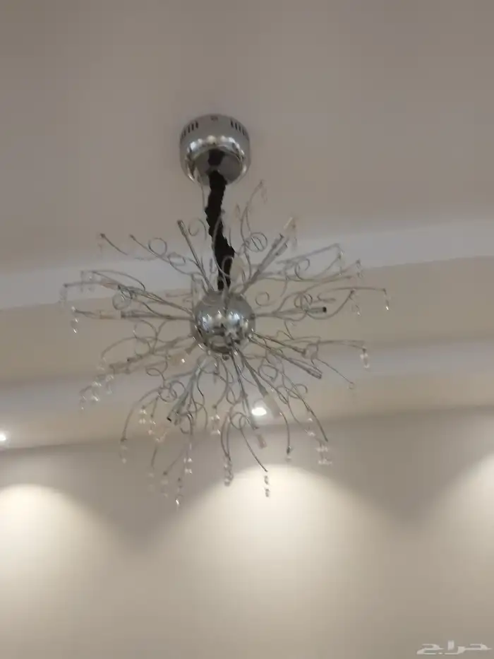 نحفة للبيع 80 ريال 0