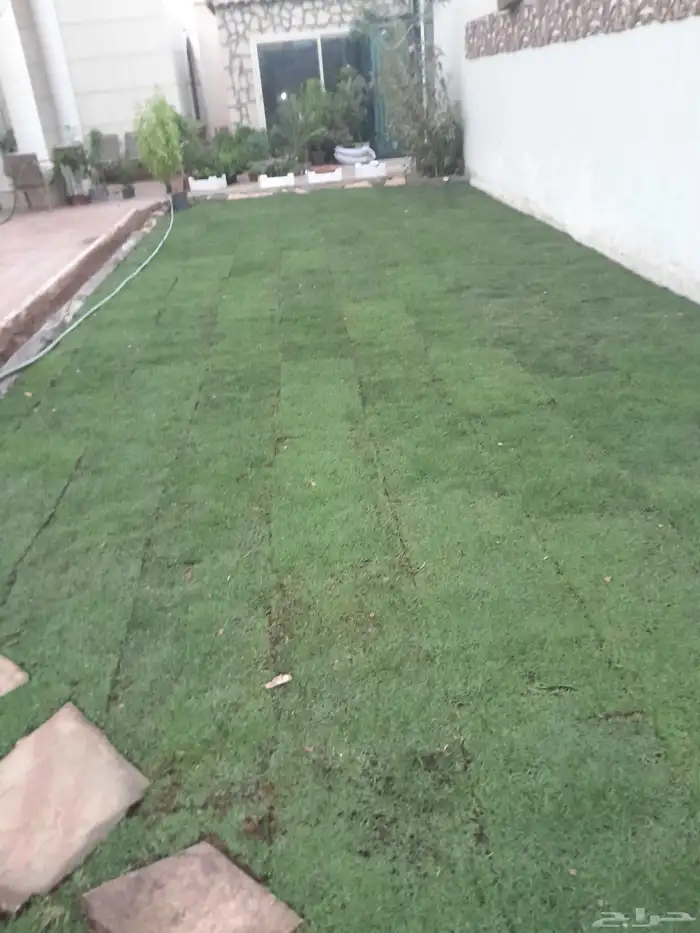 تنسيق حدائق 3