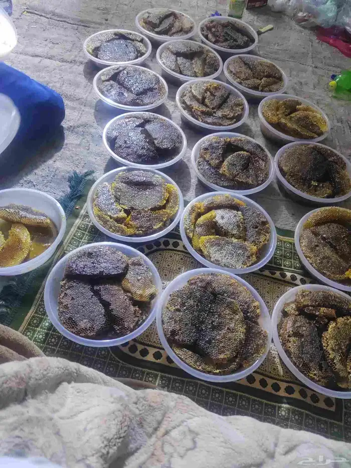 عسل طلحة وسدرة من العوص 1