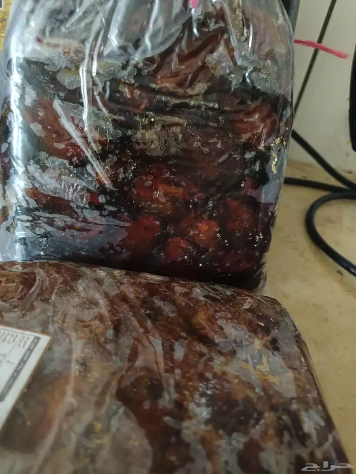 تمور فاخر للبيع 3