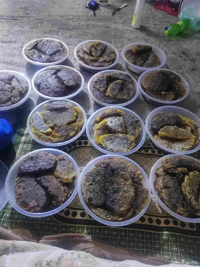 عسل طلحة وسدرة من العوص 0
