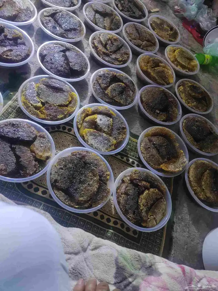 عسل طلحة وسدرة من العوص 2