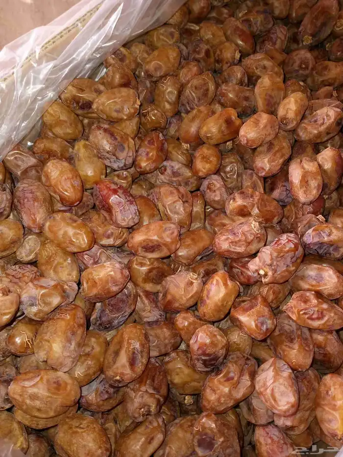 ابو مشاري لاي طلب 3