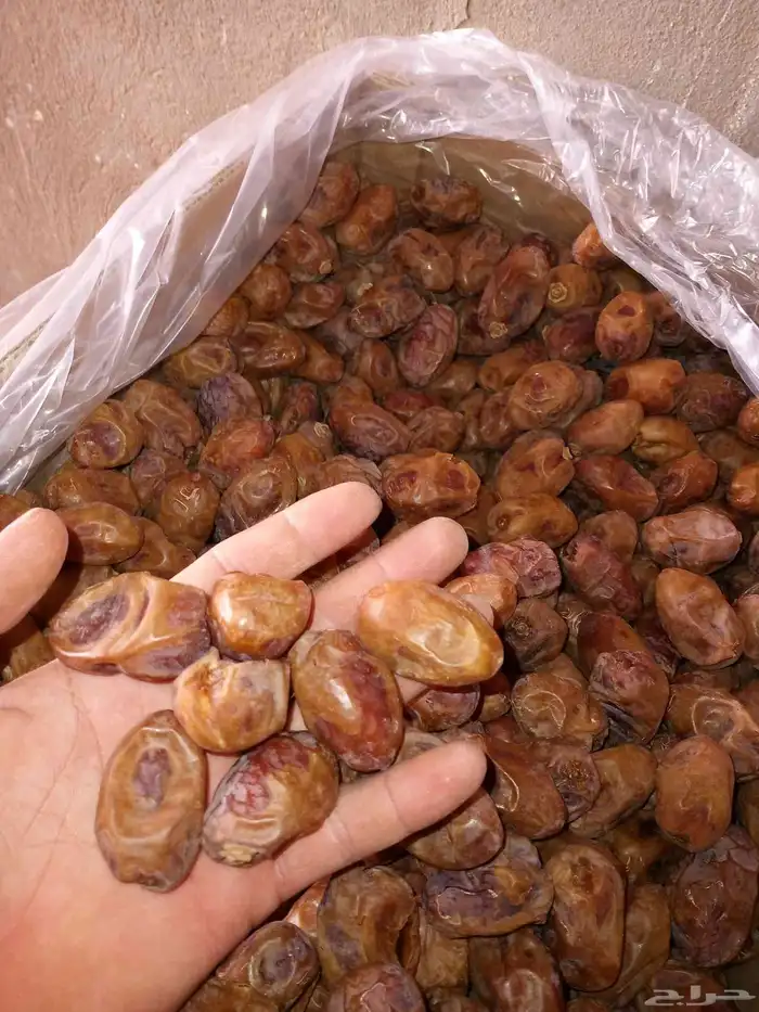 ابو مشاري لاي طلب 4