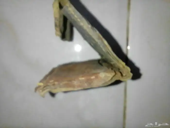 محفظه اثريه 1