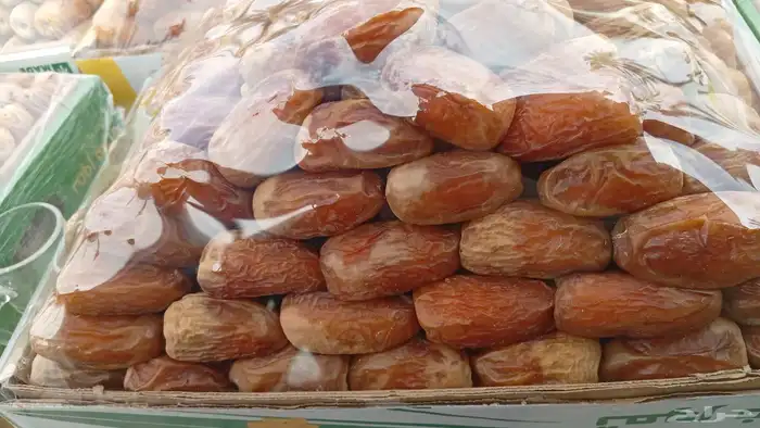 لبيع صقعي ملكي سعر رخيص وطيب 0