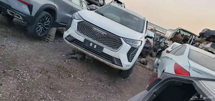 تشليح صيني بجميع انواعها 4