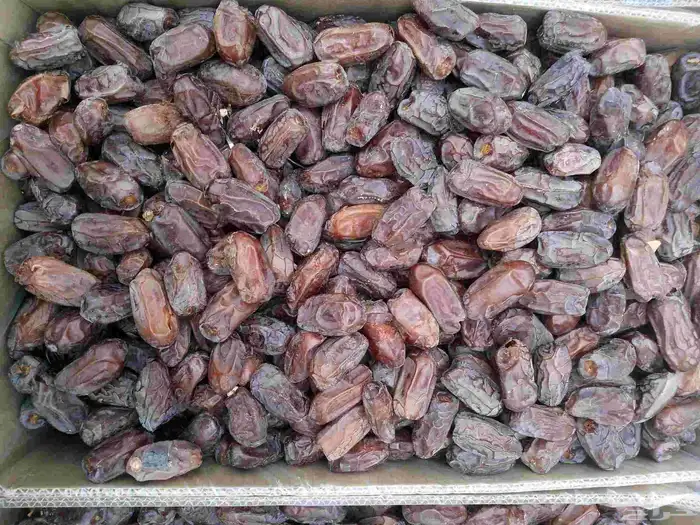 ابو مشاري لاي طلب 0