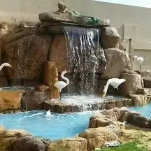 مشتل زراعي 4