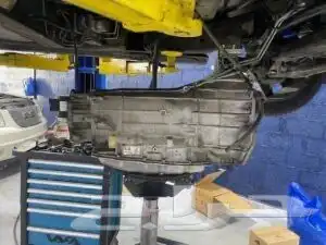 قير اكسبديشن ضمان سنه كامله وعروض خاصة 1