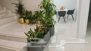 مشتل لتنسيق الحدائق و بيع الشتلات الداخليه و الخارجيه 9