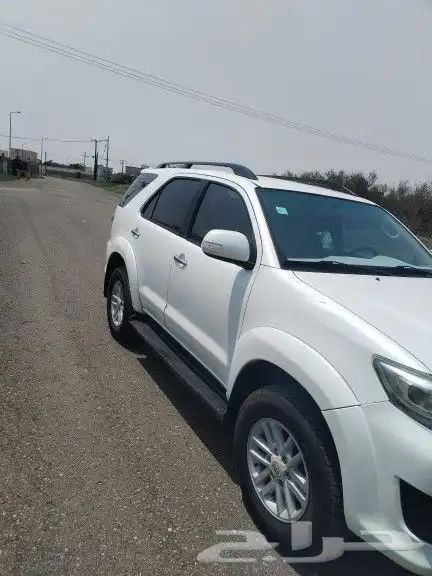 فوشنر 2013 6 سرندل تماتيل بودي بلد ممشئ 453 5