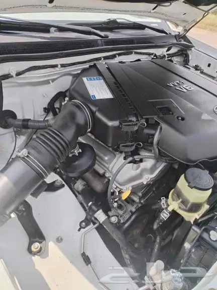 فوشنر 2013 6 سرندل تماتيل بودي بلد ممشئ 453 7