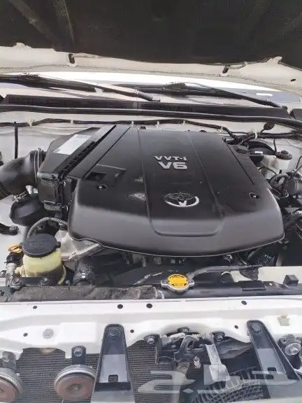 فوشنر 2013 6 سرندل تماتيل بودي بلد ممشئ 453 4