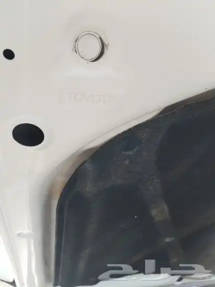 فوشنر 2013 6 سرندل تماتيل بودي بلد ممشئ 453 2