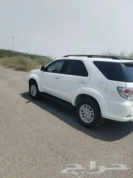 فوشنر 2013 6 سرندل تماتيل بودي بلد ممشئ 453 8