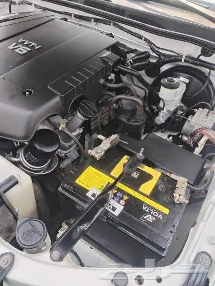 فوشنر 2013 6 سرندل تماتيل بودي بلد ممشئ 453 3