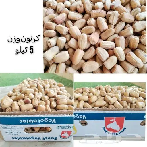 تمر بياض 0