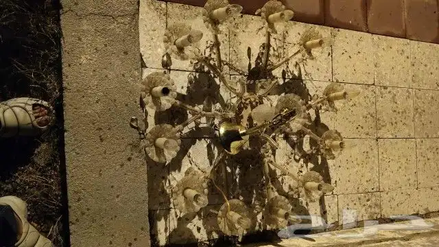 نجفه 0