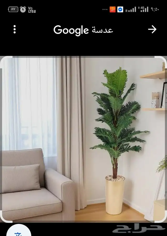 فني عمل اصيص وزراعه صناعي خبره مطلوب شريك لعمل معرض في جده ا 0