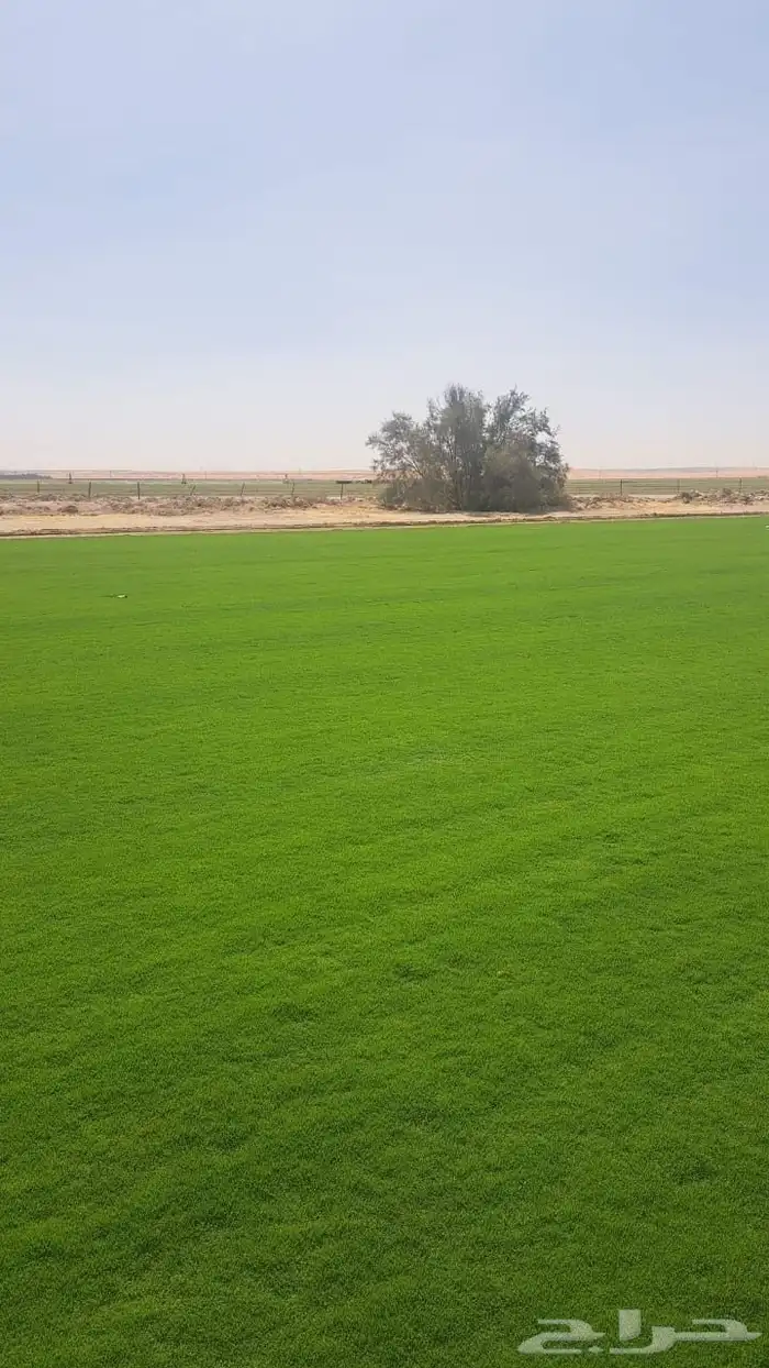 ثيل سي2000 0