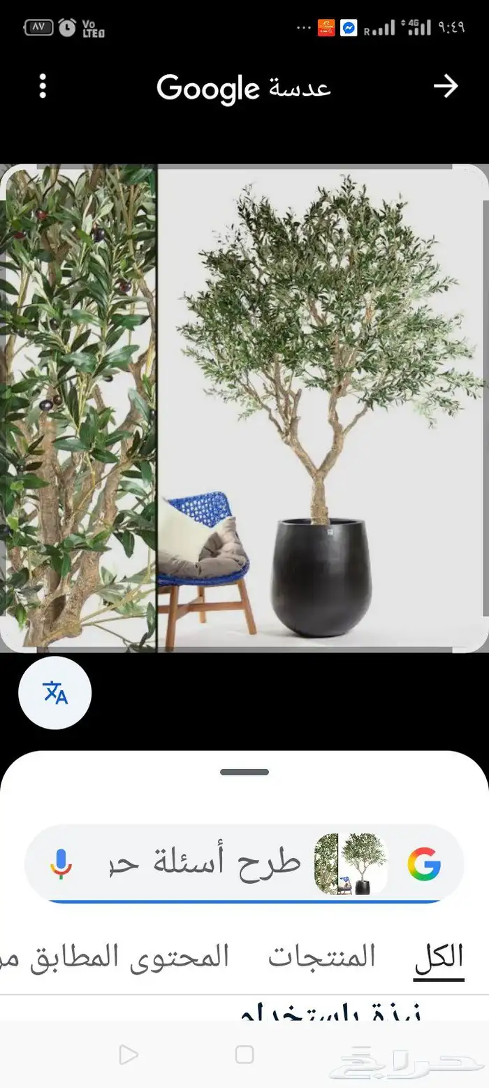 فني عمل اصيص وزراعه صناعي خبره مطلوب شريك لعمل معرض في جده ا 3