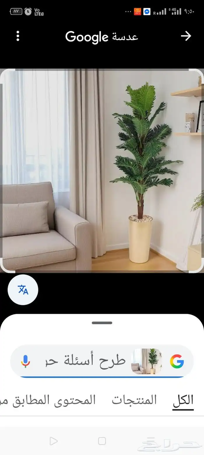 فني عمل اصيص وزراعه صناعي خبره مطلوب شريك لعمل معرض في جده ا 1