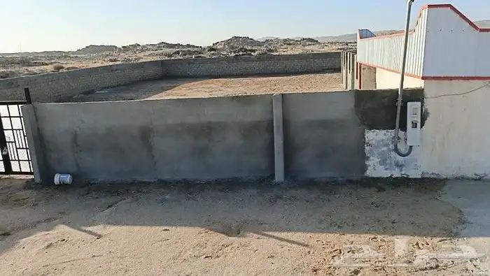 مربط العبية يعلن 1