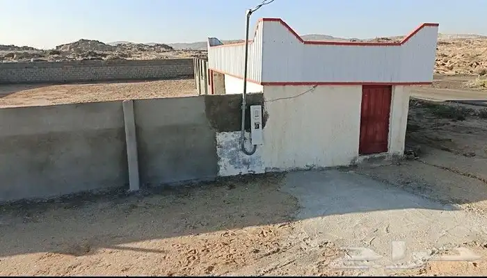 مربط العبية يعلن 2