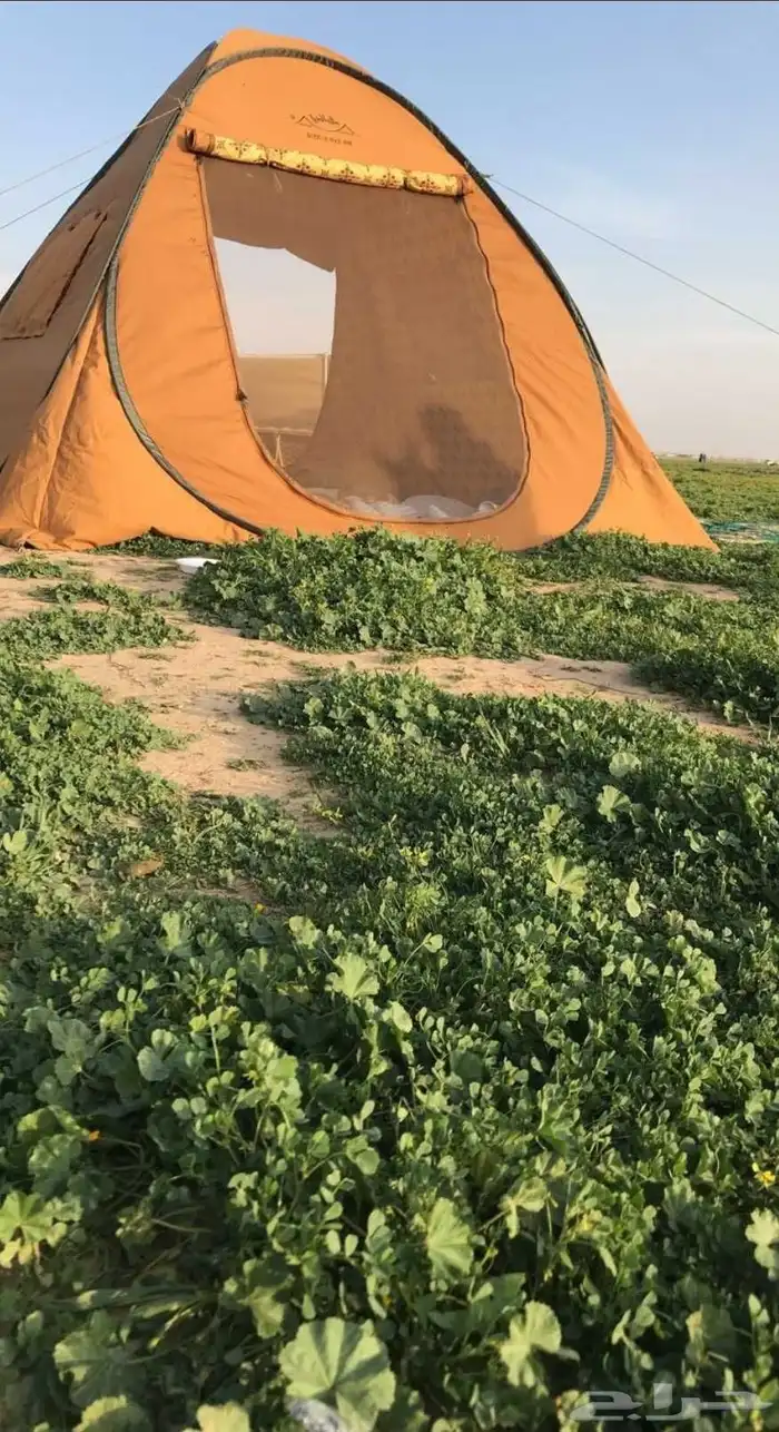 خيمة البرق من برق الحيا 0
