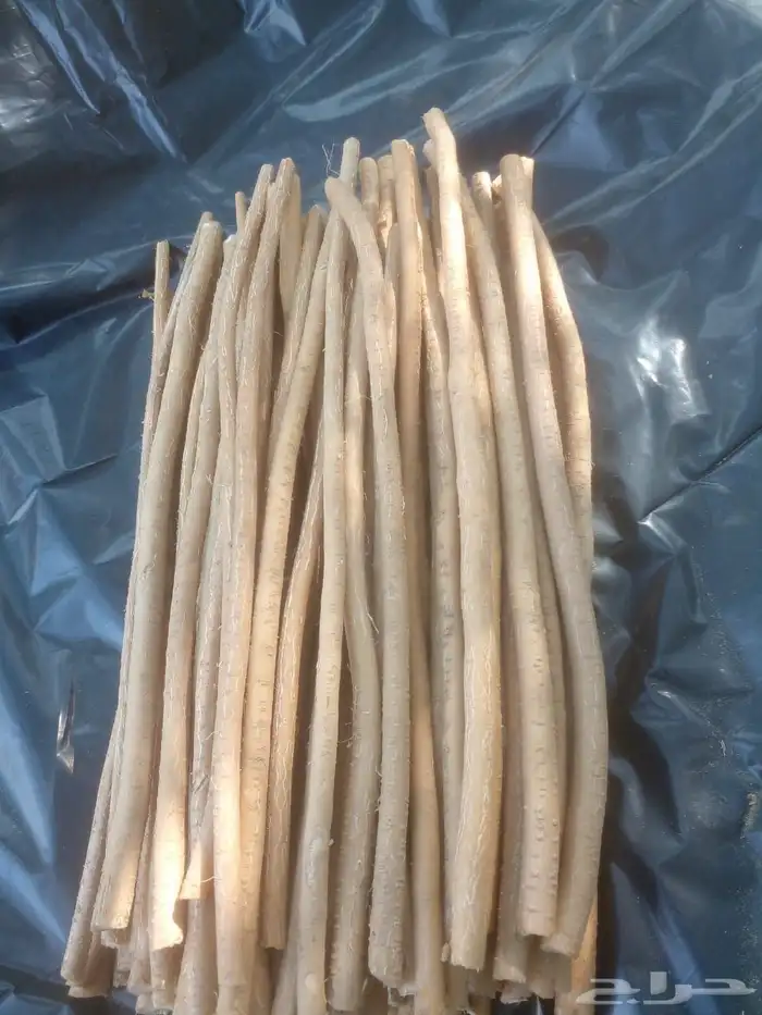 يوجد مسواك ابوحنش 1