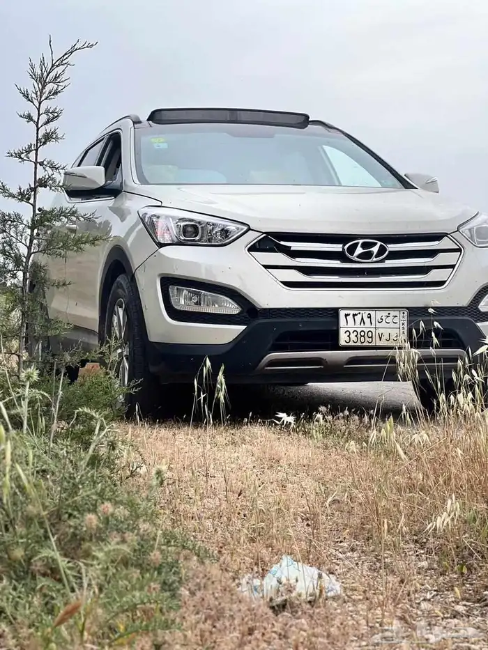 للبيع سنتافي 2014 0