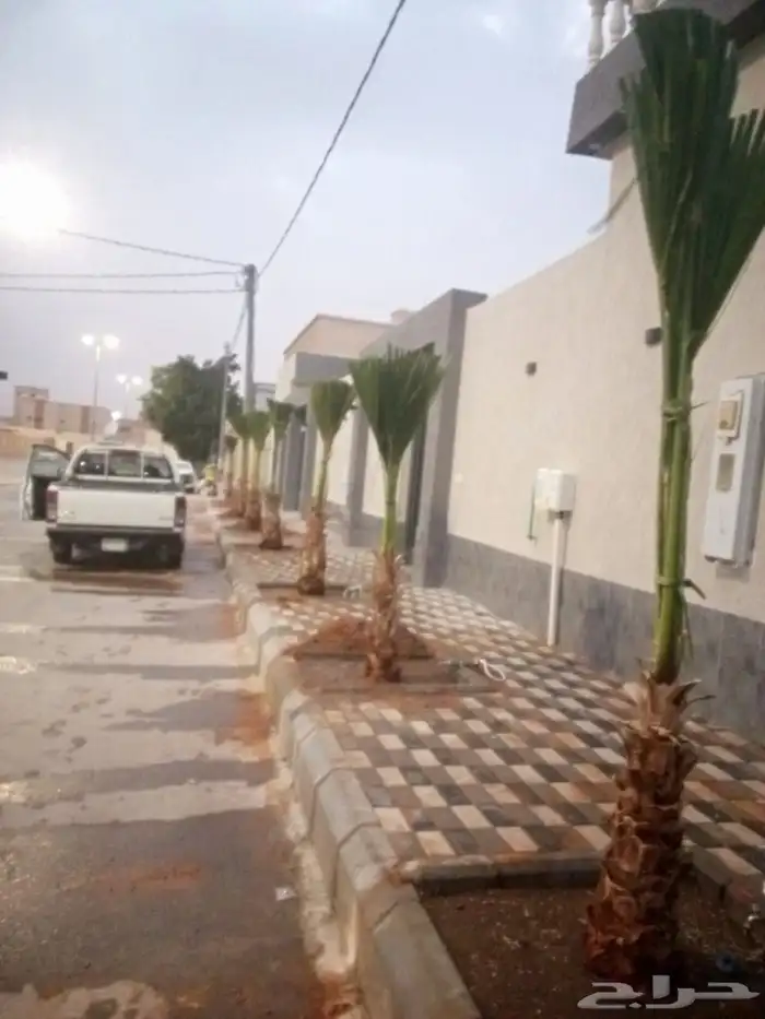 تنسيق حدائق 4