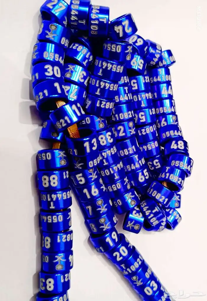 تخفيض لفترة محدودة حجول الحمام و العصافير 7