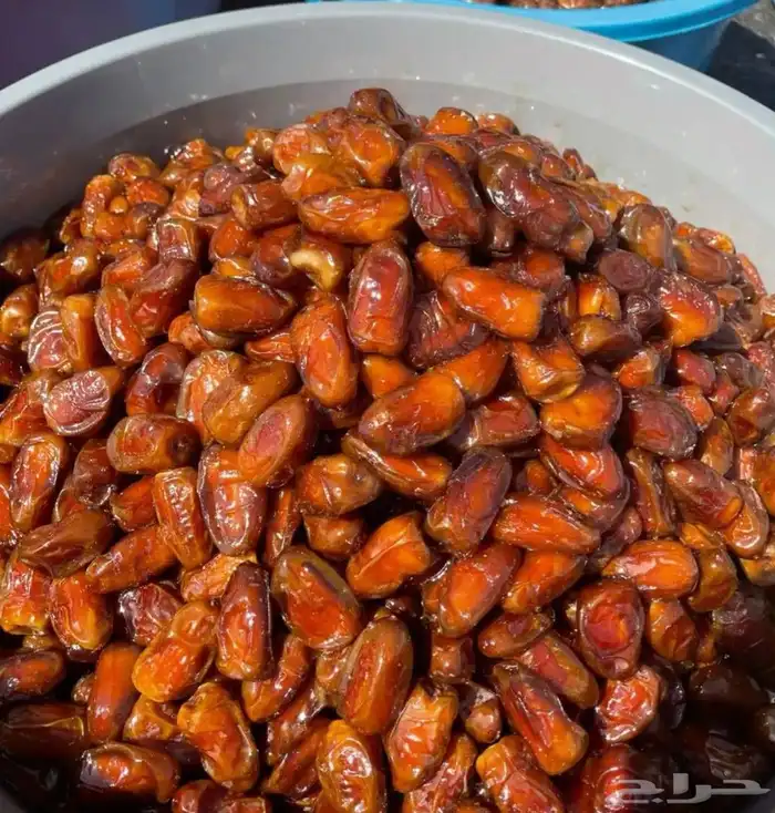 تمور حائل الفاخره 7