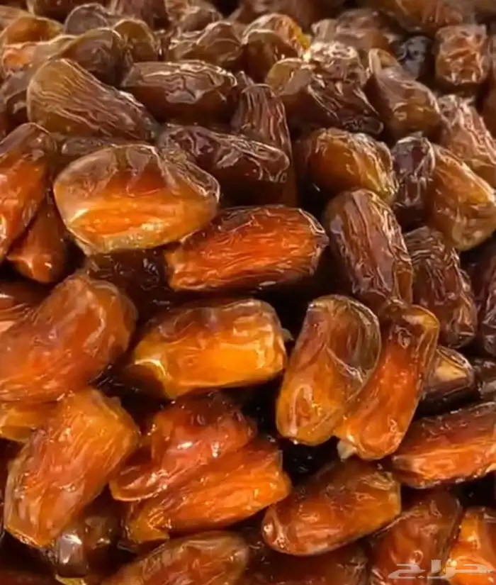 تمور حائل الفاخره 5