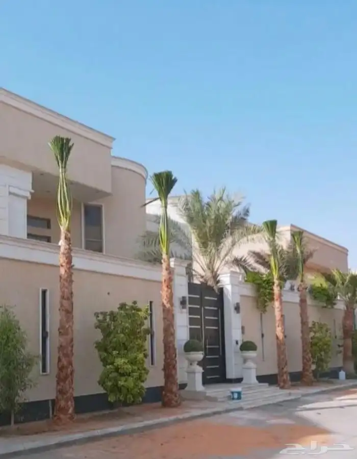 نخل وشنطونيا زينه ابومروحه 0