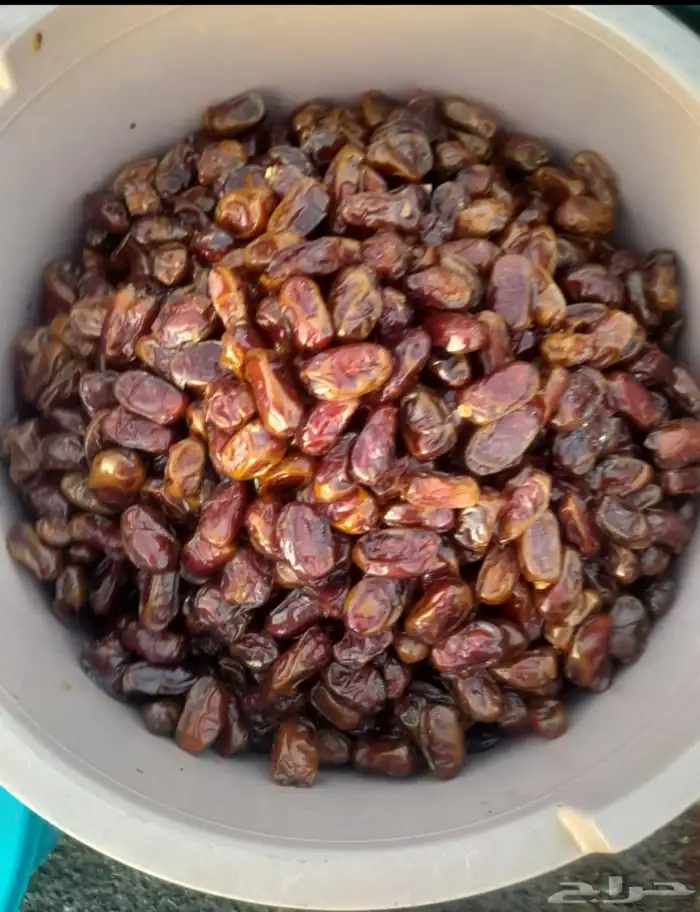 تمور حائل الفاخره 6