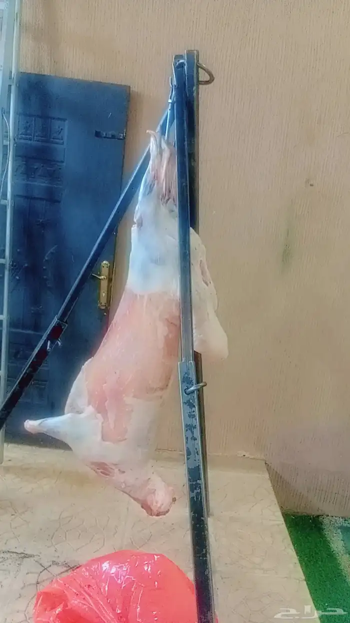 معلم مشويات خارجي 1