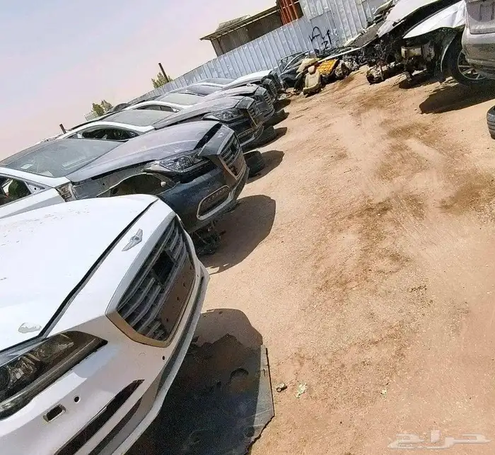 جينسس 1