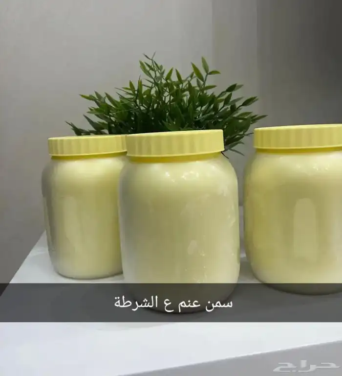 سمن غنم ع الشرط 0