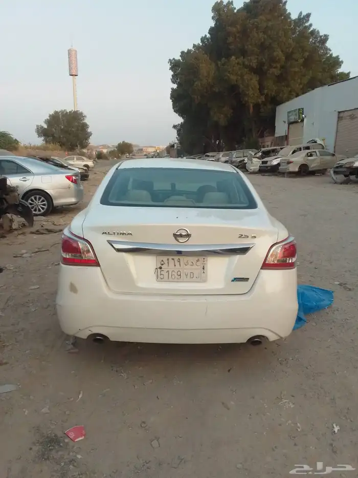 التيما 2013 3